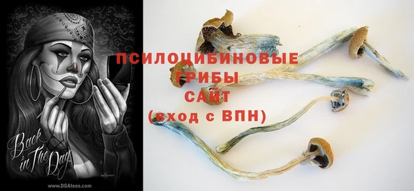 герыч Заводоуковск