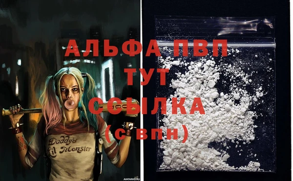 гидра Заволжье